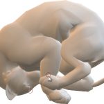 2016 SA Technical Papers_Wampler_Fast and Reliable Example-Based Mesh IK for Stylized Deformations