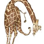 2017 SA Technical Papers_Chen_GPU-Accelerated Locally Injective Shape Deformation