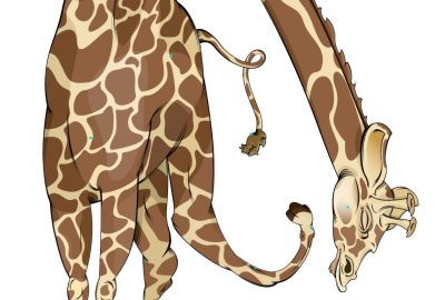 2017 SA Technical Papers_Chen_GPU-Accelerated Locally Injective Shape Deformation