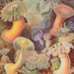 2017 SA Technical Papers_Elek_Scattering-aware Texture Reproduction for 3D Printing