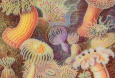 2017 SA Technical Papers_Elek_Scattering-aware Texture Reproduction for 3D Printing