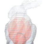 2017 SA Technical Papers_Herholz_Localized solutions of sparse linear systems for geometry processing