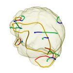 2017 SA Technical Papers_Palacios_Tensor Field Design in Volumes