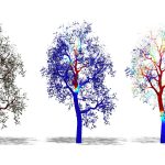 2017 SA Technical Papers_Pirk_Interactive Wood Combustion for Botanical Tree Models