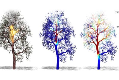 2017 SA Technical Papers_Pirk_Interactive Wood Combustion for Botanical Tree Models