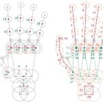 2017 SA Technical Papers_Tkach_Online Generative Model Personalization for Hand Tracking