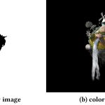 2019 ETech Rhodes: A Transparent Display with Per-Pixel Color and Opacity Control