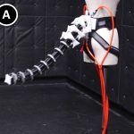 2019 ETech Nabeshima: Arque