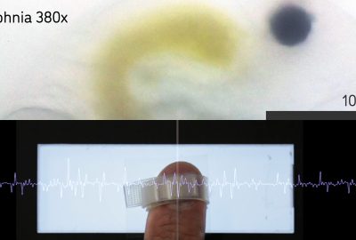 2019 ETech Obushi: MagniFinger: Magnified perception by a fingertip probe microscope