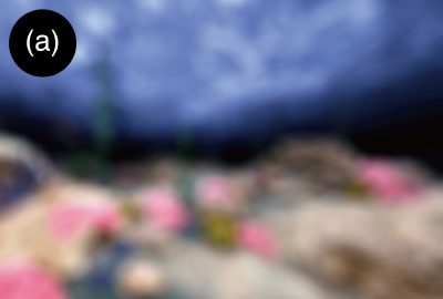 2019 ETech Furukawa: TeleSight: Enabling asymmetric collaboration in VR between HMD user and Non-HMD users