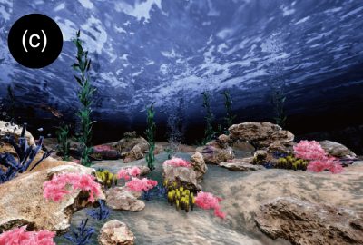 2019 ETech Furukawa: TeleSight: Enabling asymmetric collaboration in VR between HMD user and Non-HMD users