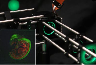 2019 SA Technical Papers_Chakravarthula_Wirtinger holography for near-eye displays