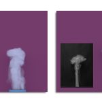 2019 SA Technical Papers_Eckert_ScalarFlow: a large-scale volumetric data set of real-world scalar transport flows for computer animation and machine learning