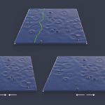 2019 SA Technical Papers_Flynn_Fluid carving: intelligent resizing for fluid simulation data