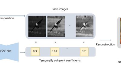 2019 SA Technical Papers_Xinghong_Colorblind-shareable videos by synthesizing temporal-coherent polynomial coefficients