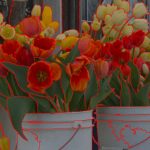 2019 SA Technical Papers_Li_Hierarchical and view-invariant light field segmentation by maximizing entropy rate on 4D ray graphs