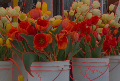 2019 SA Technical Papers_Li_Hierarchical and view-invariant light field segmentation by maximizing entropy rate on 4D ray graphs