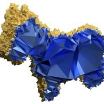 2020 SA Technical Papers_Alexa_Conforming weighted delaunay triangulations