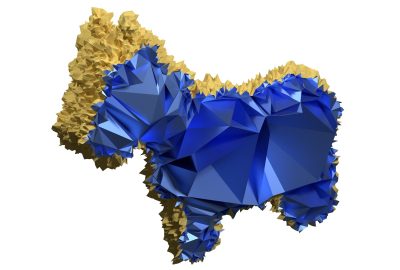 2020 SA Technical Papers_Alexa_Conforming weighted delaunay triangulations