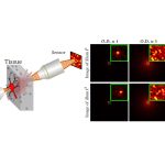 2020 SA Technical Papers_Bar_Rendering near-field speckle statistics in scattering media