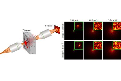 2020 SA Technical Papers_Bar_Rendering near-field speckle statistics in scattering media