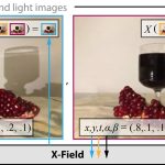 2020 SA Technical Papers_Bemana_X-Fields: implicit neural view-, light- and time-image interpolation