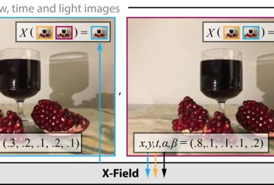 2020 SA Technical Papers_Bemana_X-Fields: implicit neural view-, light- and time-image interpolation