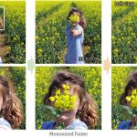 2020 SA Technical Papers_Hu_Mononizing binocular videos