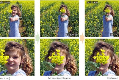 2020 SA Technical Papers_Hu_Mononizing binocular videos