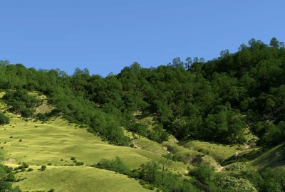 2020 SA Technical Papers_Kapp_Data-driven authoring of large-scale ecosystems