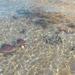 2020 SA Technical Papers_Loubet_Slope-space integrals for specular next event estimation