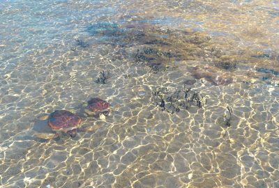 2020 SA Technical Papers_Loubet_Slope-space integrals for specular next event estimation