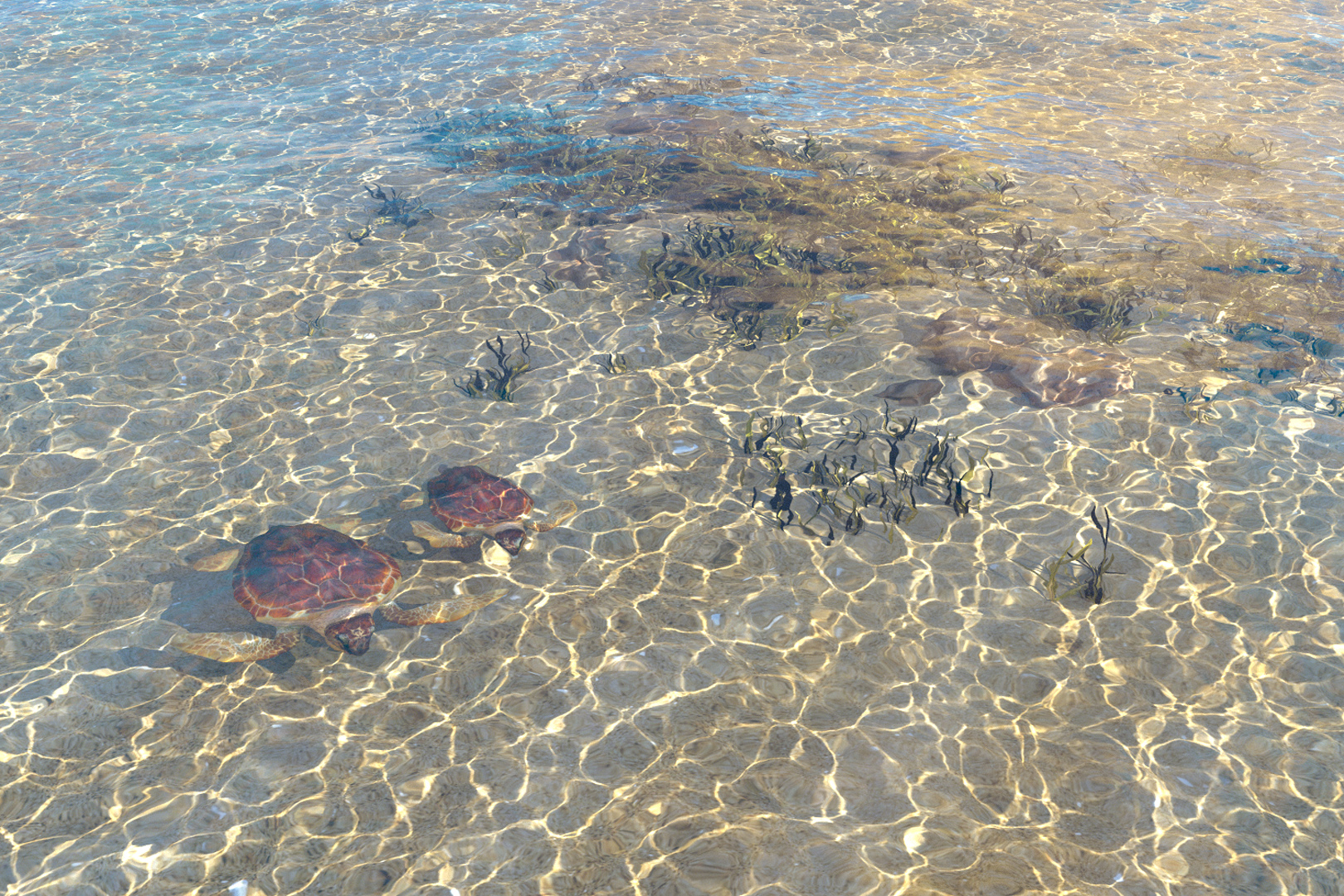 2020 SA Technical Papers_Loubet_Slope-space integrals for specular next event estimation