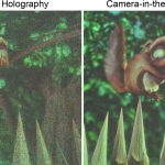 2020 SA Technical Papers_Peng_Neural holography with camera-in-the-loop training