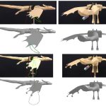 2020 SA Technical Papers_Tang_A harmonic balance approach for designing compliant mechanical systems with nonlinear periodic motions