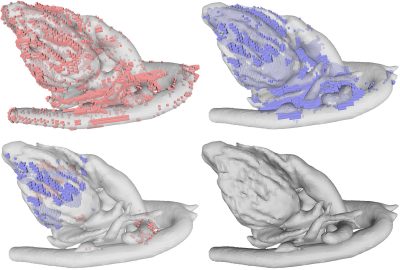 2020 SA Technical Papers_Zeng_To cut or to fill: a global optimization approach to topological simplification