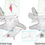 2021 SA Technical Papers_Du_Optimizing global injectivity for constrained parameterization
