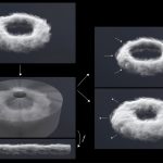 2021 SA Technical Papers_Flynn_Generalized fluid carving with fast lattice-guided seam computation