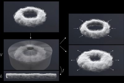 2021 SA Technical Papers_Flynn_Generalized fluid carving with fast lattice-guided seam computation