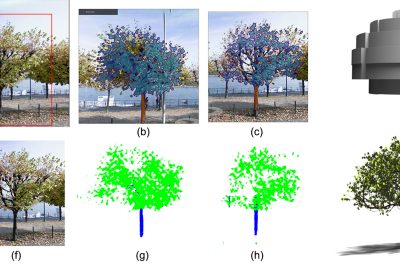 2021 SA Technical Papers_Li_Learning to reconstruct botanical trees from single images