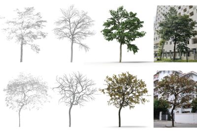 2021 SA Technical Papers_Liu_TreePartNet: neural decomposition of point clouds for 3D tree reconstruction
