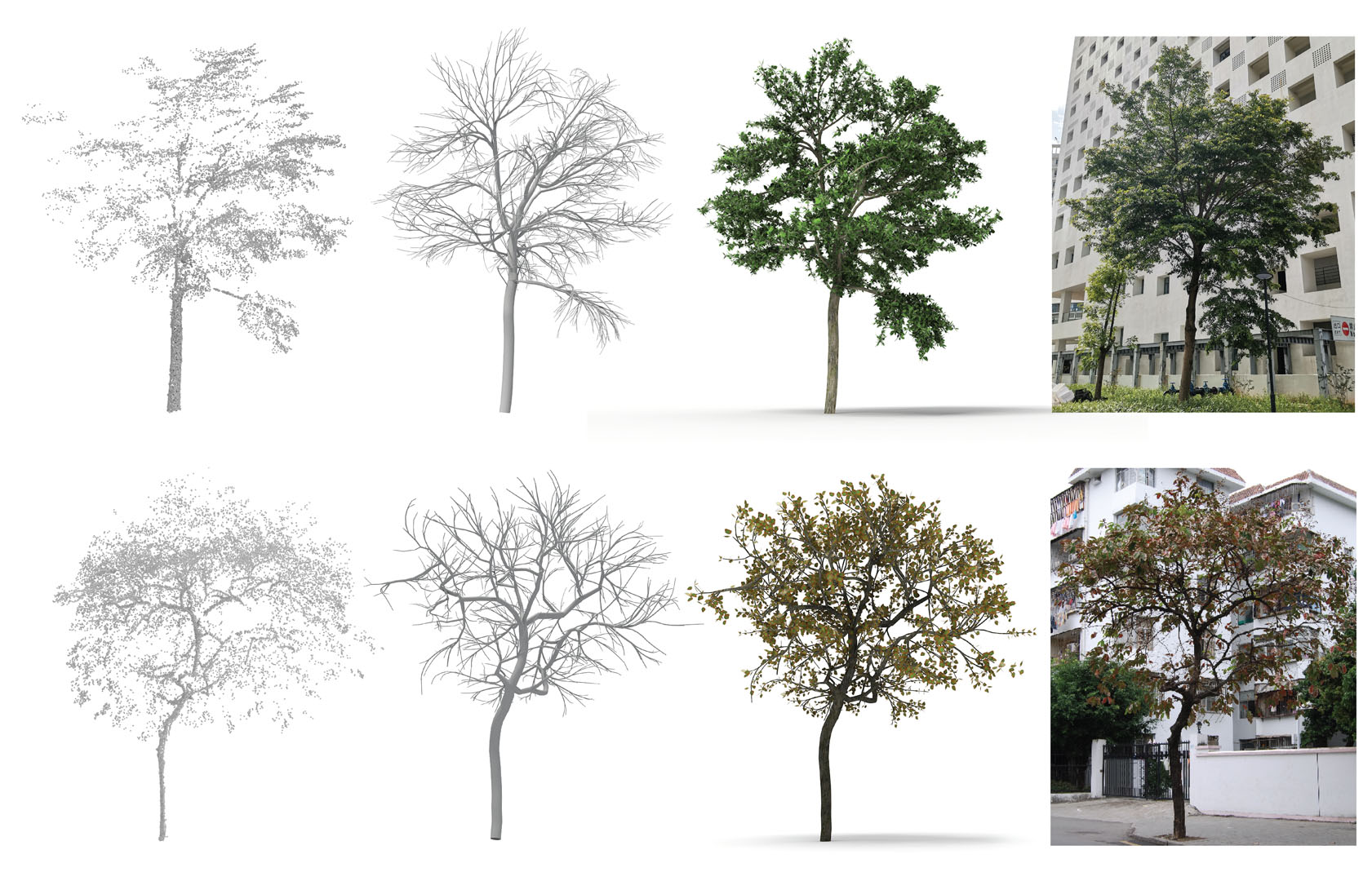 2021 SA Technical Papers_Liu_TreePartNet: neural decomposition of point clouds for 3D tree reconstruction