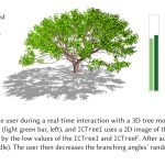 2021 SA Technical Papers_Polasek_ICTree: automatic perceptual metrics for tree models