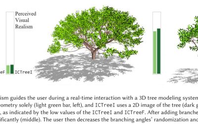 2021 SA Technical Papers_Polasek_ICTree: automatic perceptual metrics for tree models