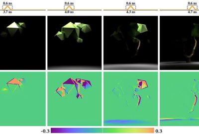 2021 SA Technical Papers_Wu_Differentiable time-gated rendering