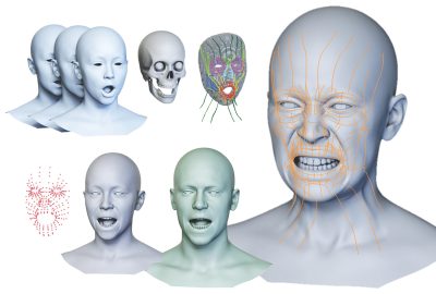 2022 SA Technical Papers_Choi_Animatomy: an Animator-centric, Anatomically Inspired System for 3D Facial Modeling, Animation and Transfer