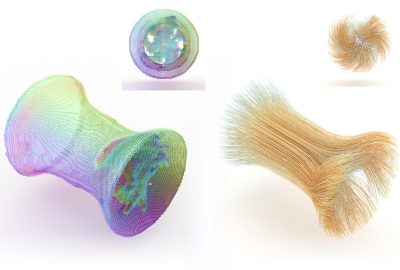 2022 SA Technical Papers_Li_Fluidic Topology Optimization with an Anisotropic Mixture Model