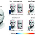 2022 SA Technical Papers_Wolski_Geo-metric: A Perceptual Dataset of Distortions on Faces