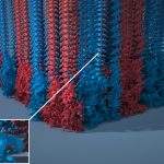 2022 SA Technical Papers_Yu_MeshTaichi: A Compiler for Efficient Mesh-based Operations