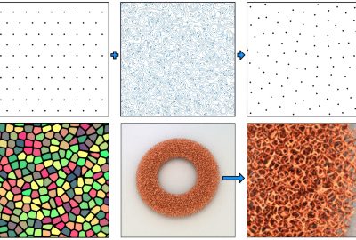 2023 SA_Technical_Papers_Bærentzen_Curl Noise Jittering